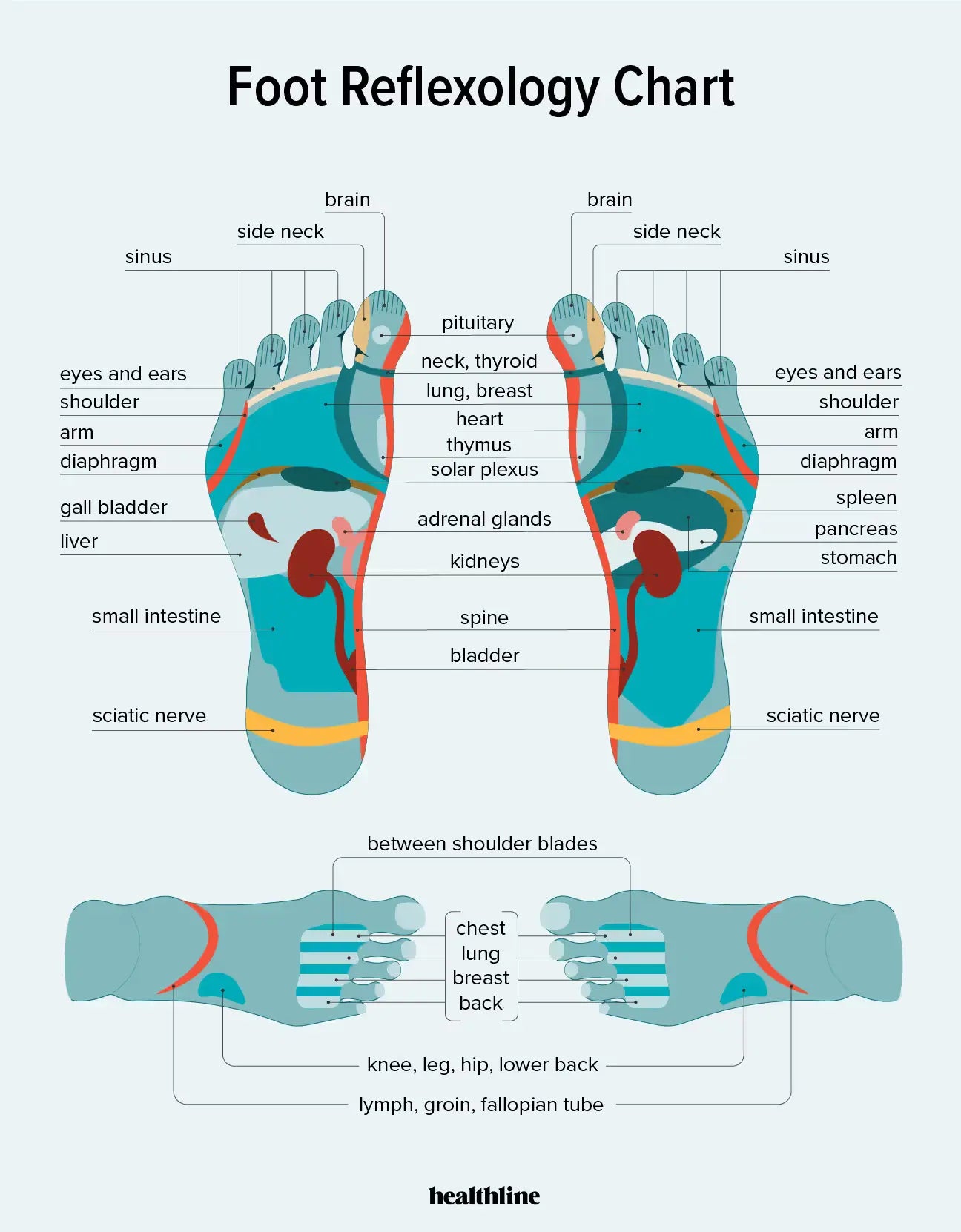 Chen's Reflexology Mat