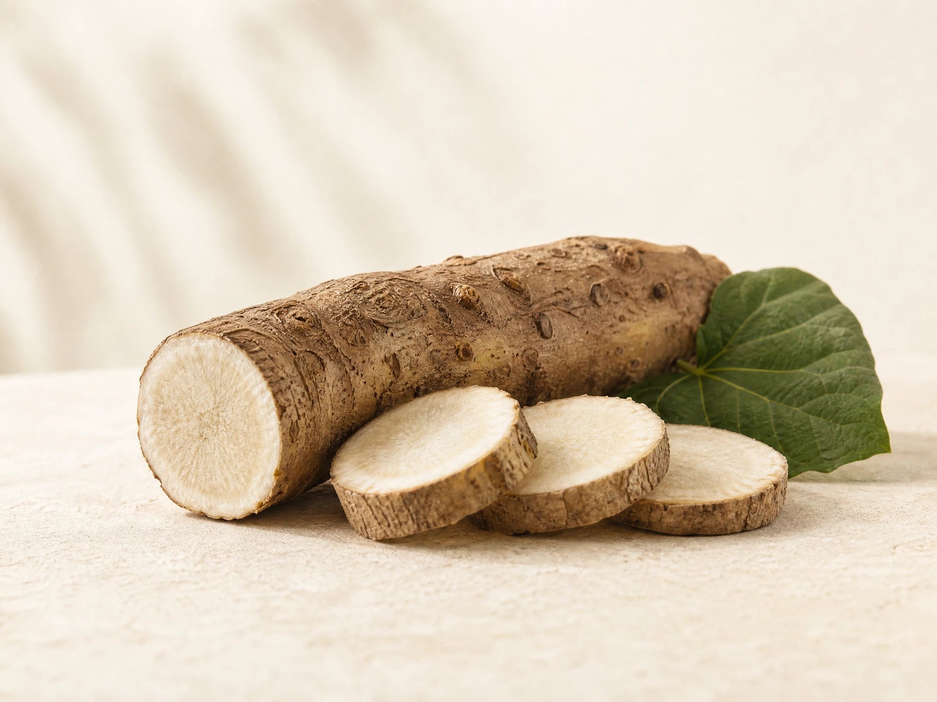 Burdock Root